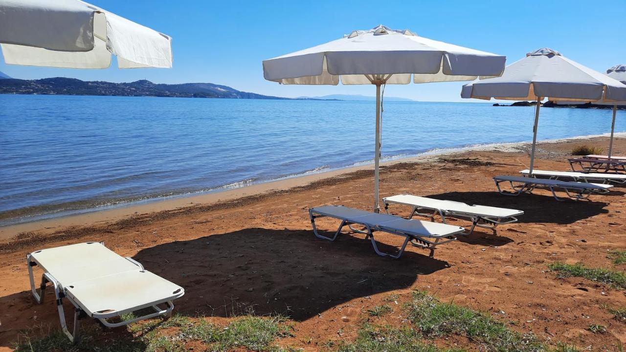 Alekos Beach Houses-Alekos Beach Complex Lixouri Eksteriør billede