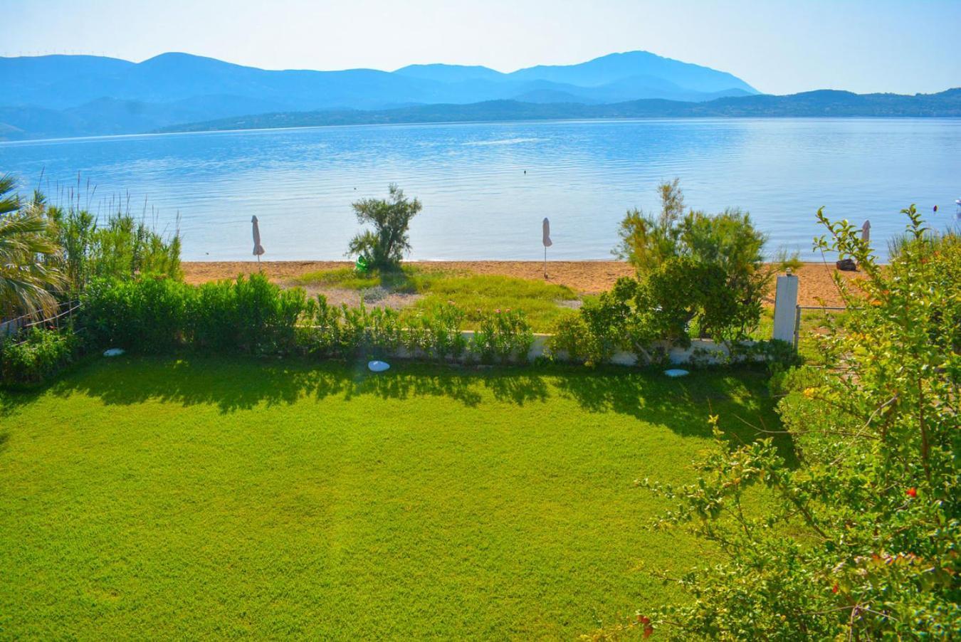 Alekos Beach Houses-Alekos Beach Complex Lixouri Eksteriør billede